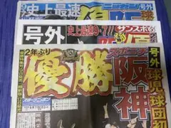 阪神タイガース　優勝　号外　3社セット