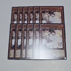 【遊戯】灰流うらら【ノーマル/効果】TT02-JPA09　12枚