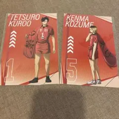 ハイキュープラザ 黒尾鉄朗 孤爪研磨 特典 ポストカード