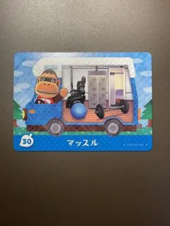 『とびだせ どうぶつの森 amiibo+』amiiboカード　30マッスル