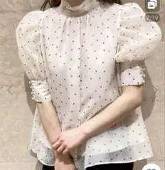 スナイデル　ハーフスリーブオーガンジーブラウス SWFB212040