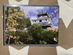 Item thumbnail for item 6ad56720-33bb-423b-b3da-02e195ff132f