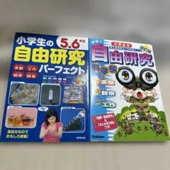 Item thumbnail for item b4b3854e-1c57-43d2-95e3-60b7cbd5ac83