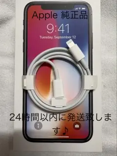 純正品Apple Lightning - USB-C ケーブル 1m（急速充電）
