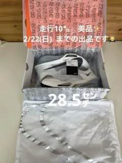 即発送! ナイキ アルファフライ 3 28.5 走行10㌔ 他社品比較表あり