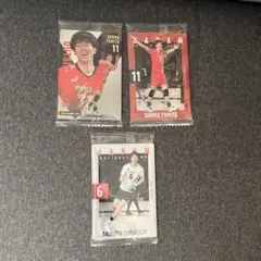 富田 将馬 • 山内 晶大 メタリックプラカードセット