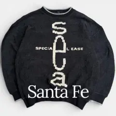 2026年最新】Santafeの人気アイテム - メルカリ