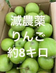 青森県産 減農薬りんご摘果約8キロのサムネイル