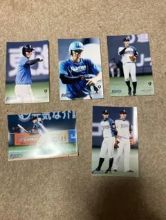 2018 北海道日本ハムファイターズ　中島卓也　ハイライトフォト　5枚　c