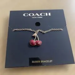 2025年最新】コーチ キーホルダー チェリーの人気アイテム - メルカリ