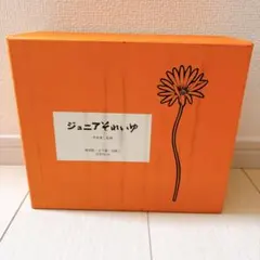 2026年最新】ジュニアそれいゆの人気アイテム - メルカリ