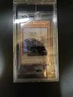 遊戯王 日本選手権2026 プロモ The Lady's Protectors - メルカリ