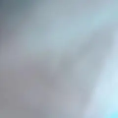 専用出品