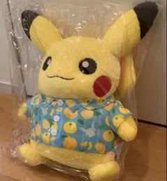 ポケモン big ピカチュウ ぬいぐるみ 韓国済州限定 チェジュ島　お地蔵さん ポケモン big ピカチュウ ぬいぐるみ 韓国済州限定 チェジュ島 お地蔵