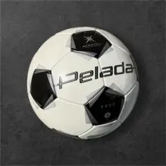 モルテン(molten) 公式戦用サッカーボール 5号 F5L5000 ペレーダ