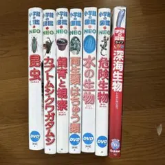 Item thumbnail for item 4d7703e0-ceeb-489f-a22a-9124d3692eab