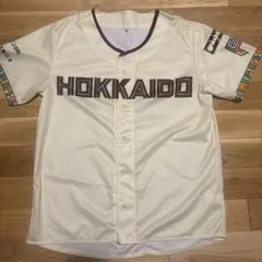 【未使用】 北海道日本ハムファイターズ WE LOVE HOKKAIDO ②のサムネイル
