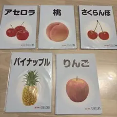 BabyPark オリジナルピクチャーブックレット