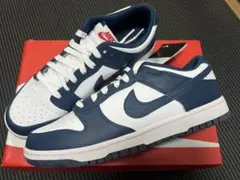 NIKE DUNK LOW RETRO VALERIAN BLUE 27.5
