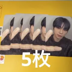 ソゴン　5枚