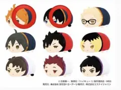 ハイキュー もちもちマスコット ミニ 再販 日向 影山 セット