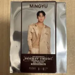 サンシャイン クリアしおり セブチ ミンギュ SEVENTEEN MINGYU