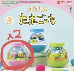 カプセリウム たまごっち ふわらっち&めめっち×2