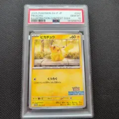 【PSA10】ピカチュウ：イラストレーションコンテスト 2024 PROMO