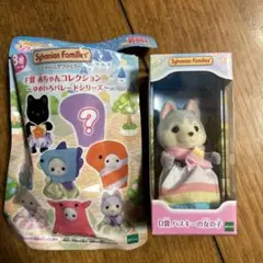 Item thumbnail for item 78b57654-6b0a-411f-a47a-44d66aae79b3