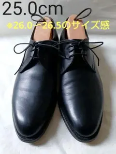 Item thumbnail for item 04934014-9c80-41e0-aced-74e40fb7b8dd