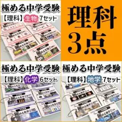 みーまま様 リクエスト 3点 まとめ商品 中学受験　暗記カード