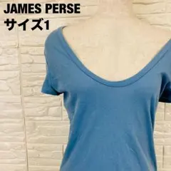 JAMES PERSE 水色 Vネックカットソー 半袖 大人可愛い 【2437】のサムネイル