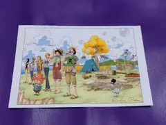 ワンピース　特典　ポストカード　ルフィ　チョッパー　ゾロ　ナミ　サンジ