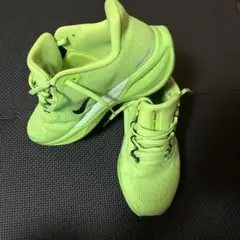 Nike Air Zoom Pegasus 41 "Volt