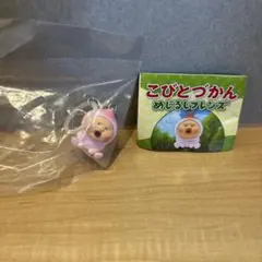 こびとづかん めじるしフレンズ カクレモモジリ