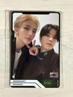 スンミン ヒョンジン トレカ