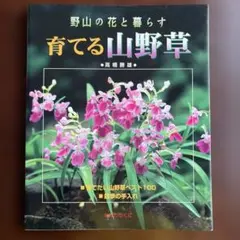辻勲原種カトレアの世界―南米への熱き想い - メルカリ