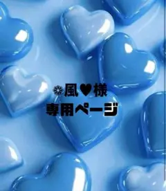 ❁﻿風♥様専用ページ