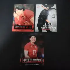 バレーボール男子日本代表 西本圭吾 トレーディングカード 3枚セット