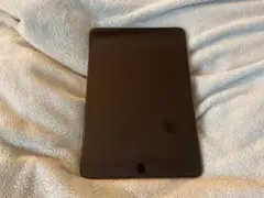 最終値下げ中1000円値下げApple iPad mini第5世代