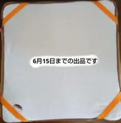 ペティオ 床ずれ予防ベッド　小型犬用のサムネイル