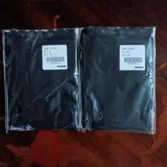 Item thumbnail for item 2840fe9e-c1ec-40dc-9415-2f86d3b81b4d