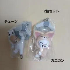 Stray Kids スキズ skzoo つまんでつなげてますこっと vol.2