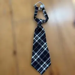 新品　子供用ネクタイ