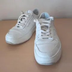 TOD'S ホワイト スニーカー　　　　6 1/2