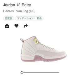 NIKE AIR JORDAN 12 送料込み