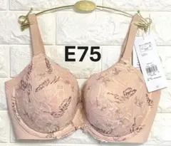 トリンプ　秘めわざ638　コンフォートワイヤー搭載　ブラジャー　ベージュ　E75のサムネイル