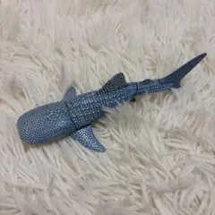 ザ・シャーク ジンベエザメ