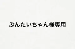 ぶんたいちゃんさん様専用