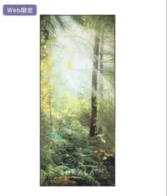 SUKALA スカーラ　プリントヨギラグ　LAVA コモレビ　ラバ